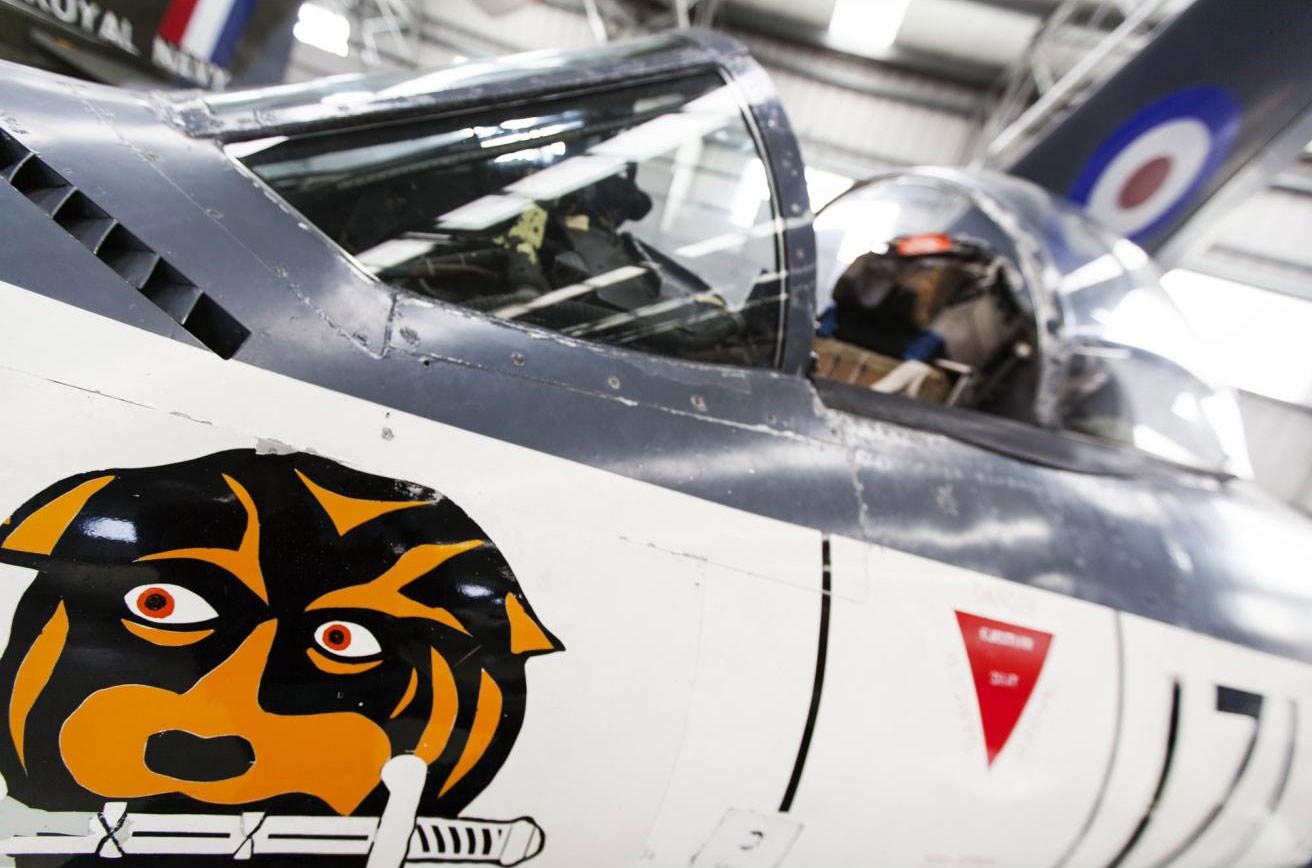 A tiger holding a knife in its mouth painted on the side of a Sea Hawk aircraft.