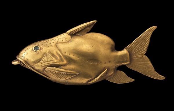  A.1914.1079 Pendant of gold depicting an “upside-down catfish”, with an unknown core (possibly copper alloy) and a ring for suspension in its mouth: Ancient Egyptian, excavated by Petrie in Tomb 72 in Harageh Cemetery A, Late Middle Kingdom, 12th Dynasty, c.1862-1750 BC .