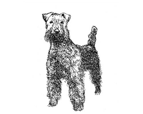 The previous image from the information panel resembled a terrier.