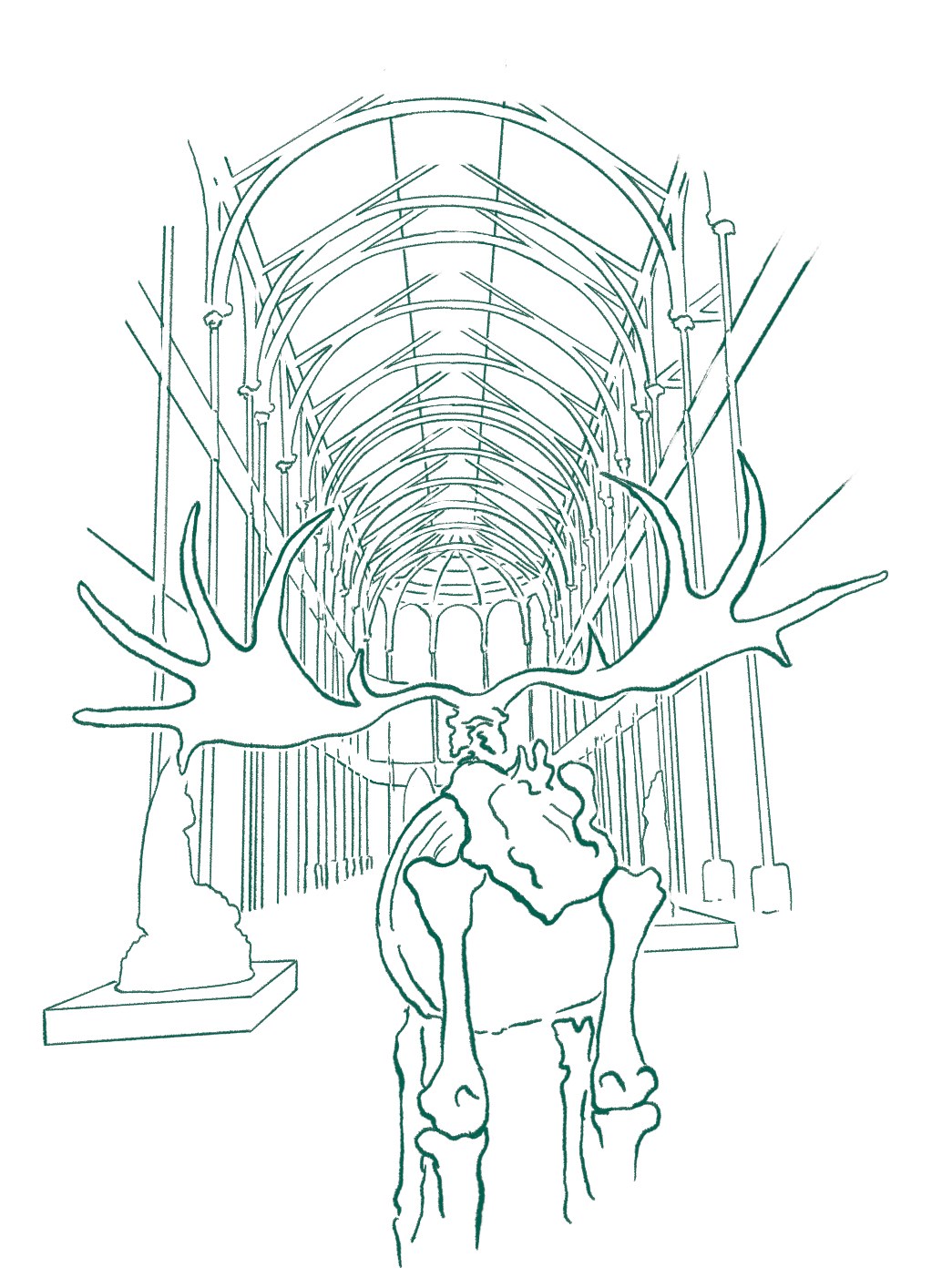 Link drawing of the skeleton of an Elk standing in a large museum gallery space