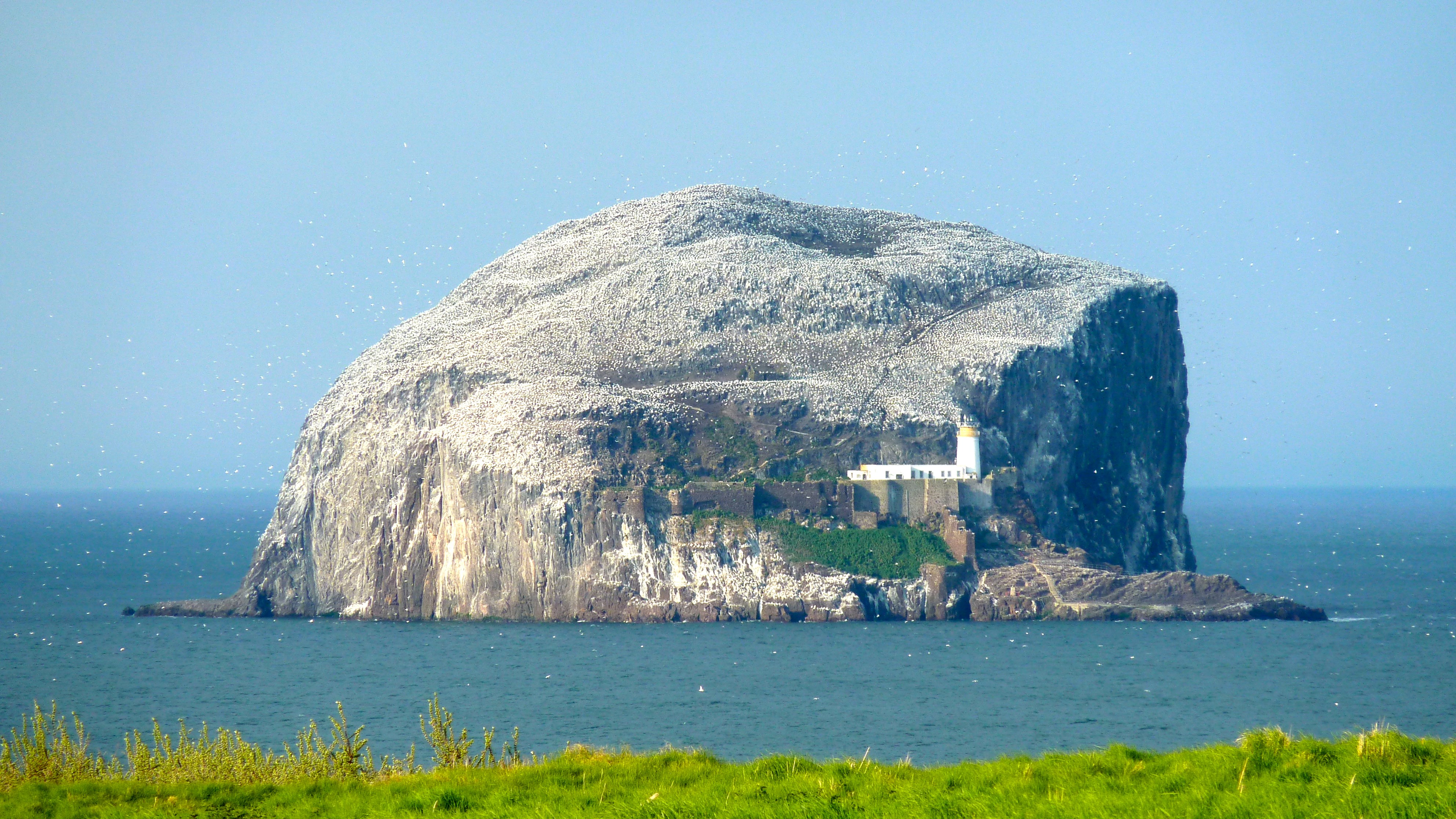 A massive dome of rock rises out of a calm sea. A white lighthouse is on the rock, as are thousands of nesting birds.
