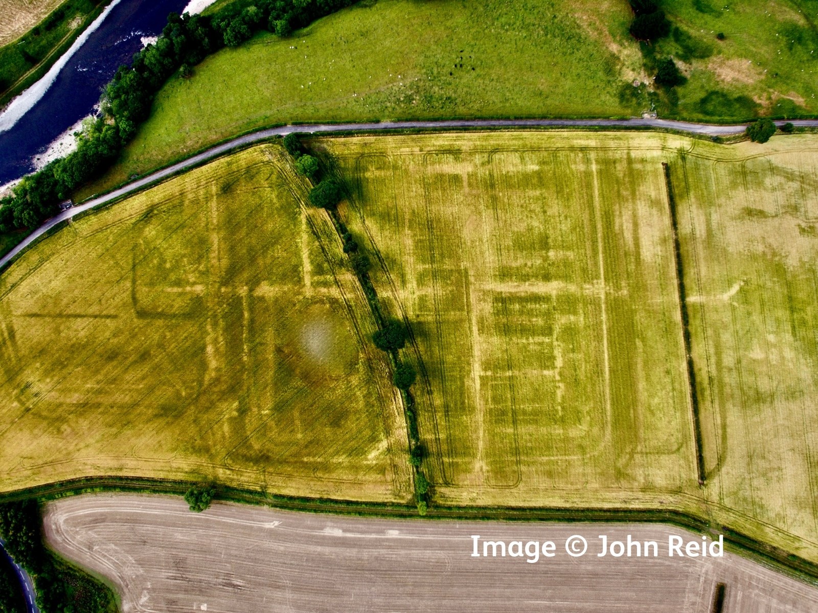 Aerial bird's eye view looking straight down on a green-yellow field, in which you can clearly see geometric lines tracing a now vanished Roman fort.