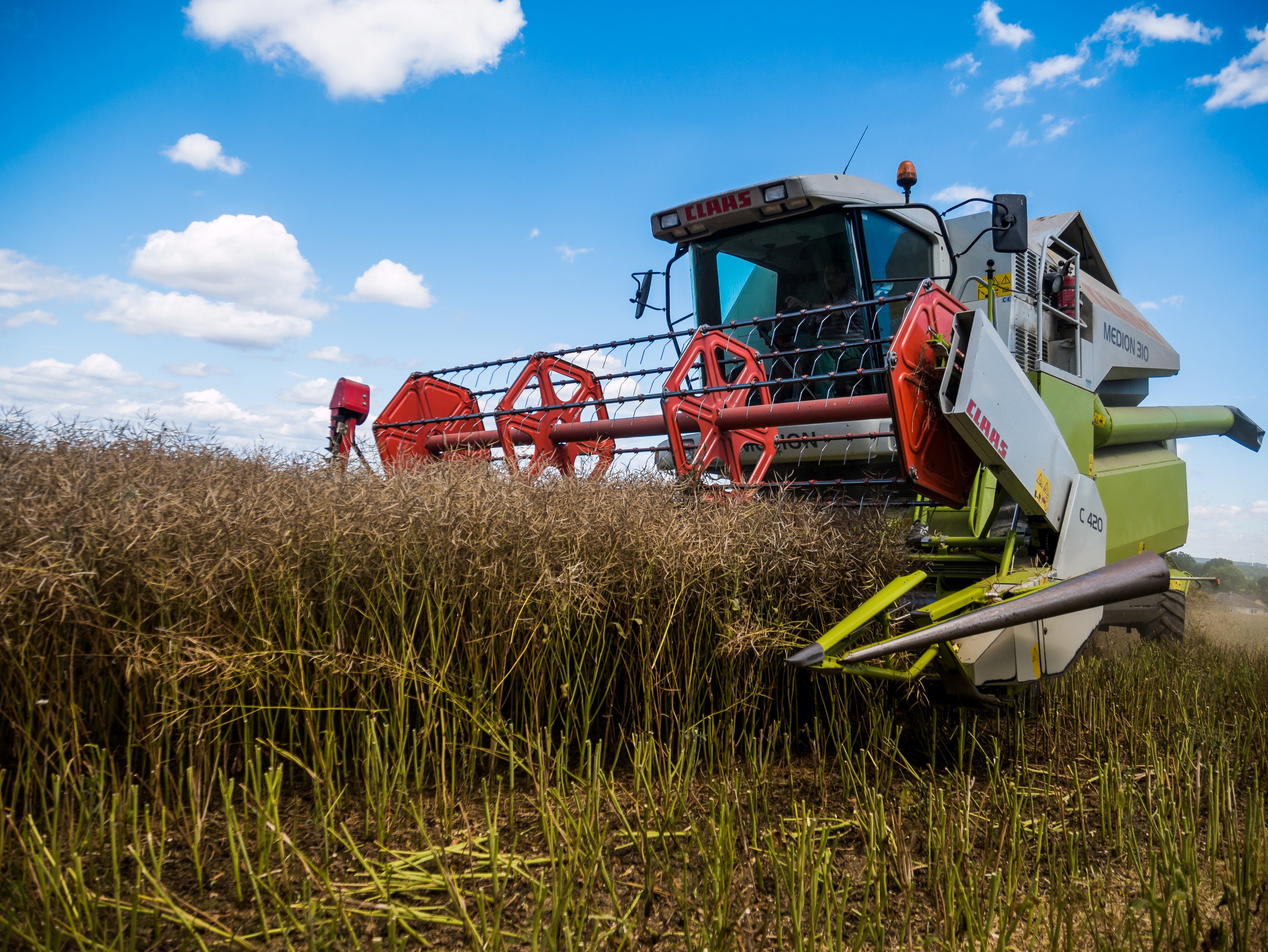 Colour photo of a combine harvester being used in the field