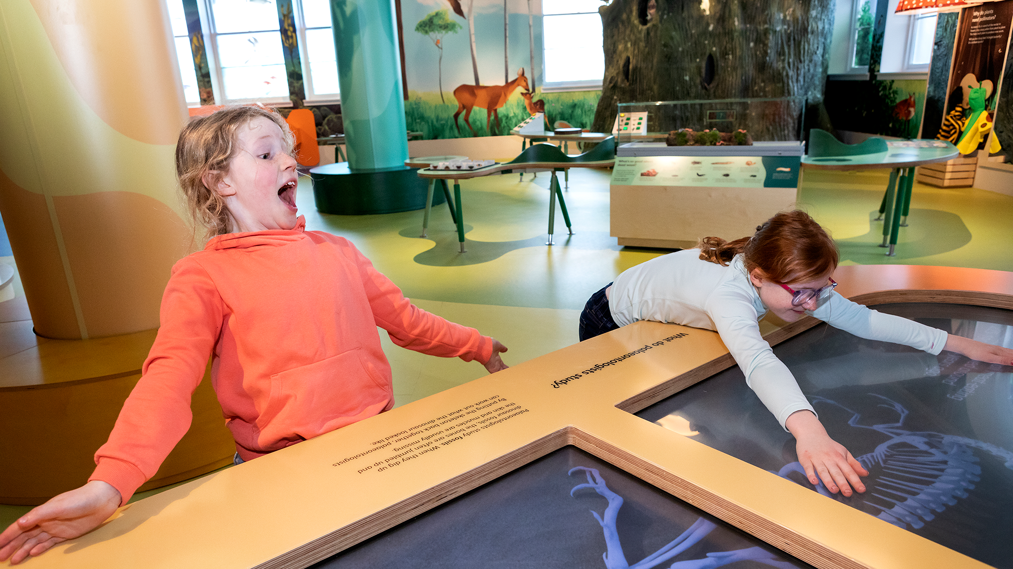 Two children in a gallery, one leans back with a look of surprise, the other rests on the display in front.
