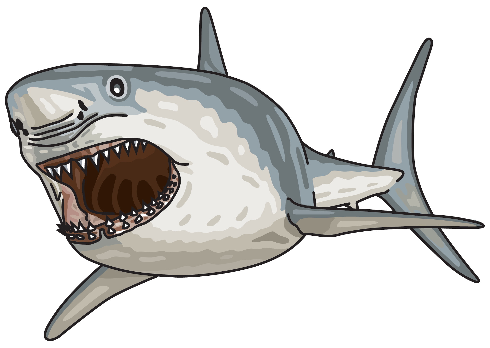 Illustration of a great white shark with mouth open