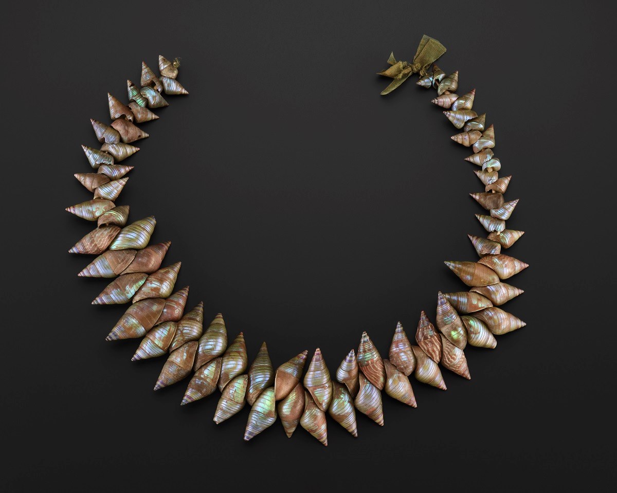 Necklace made from two layers of conical seashells, the points of each layer facing away from the other layer. Each shell shimmers with brown, blue, green, and grey.