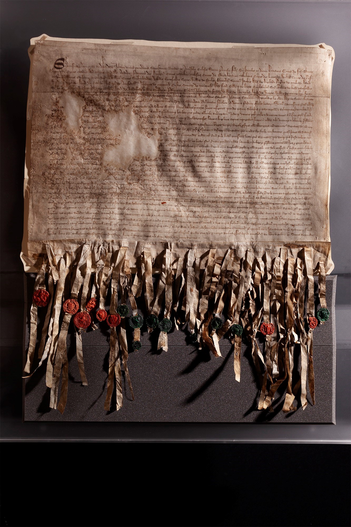 The Declaration of Arbroath laid out on a grey protective base. The Declaration has dense Latin script across it with two small patches missing, and many strips dangling from the bottom affixed with green and red wax seals.
