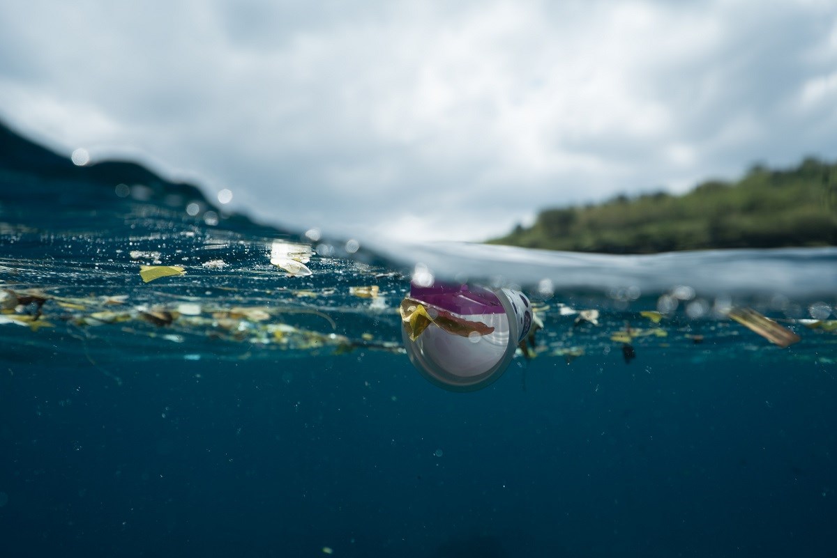 Photograph of plastic junk floating on the water's surface, shot so that you see both underwater and above water at the same time.