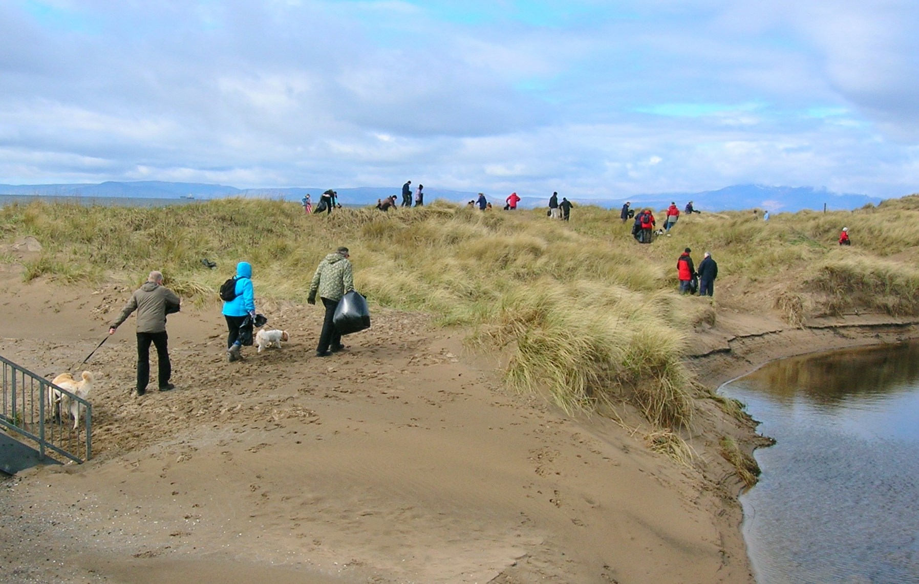 A spread out group of people cross a small bridge and fan out into sand dunes along a beach, carrying litter bags and sticks for collecting litter.