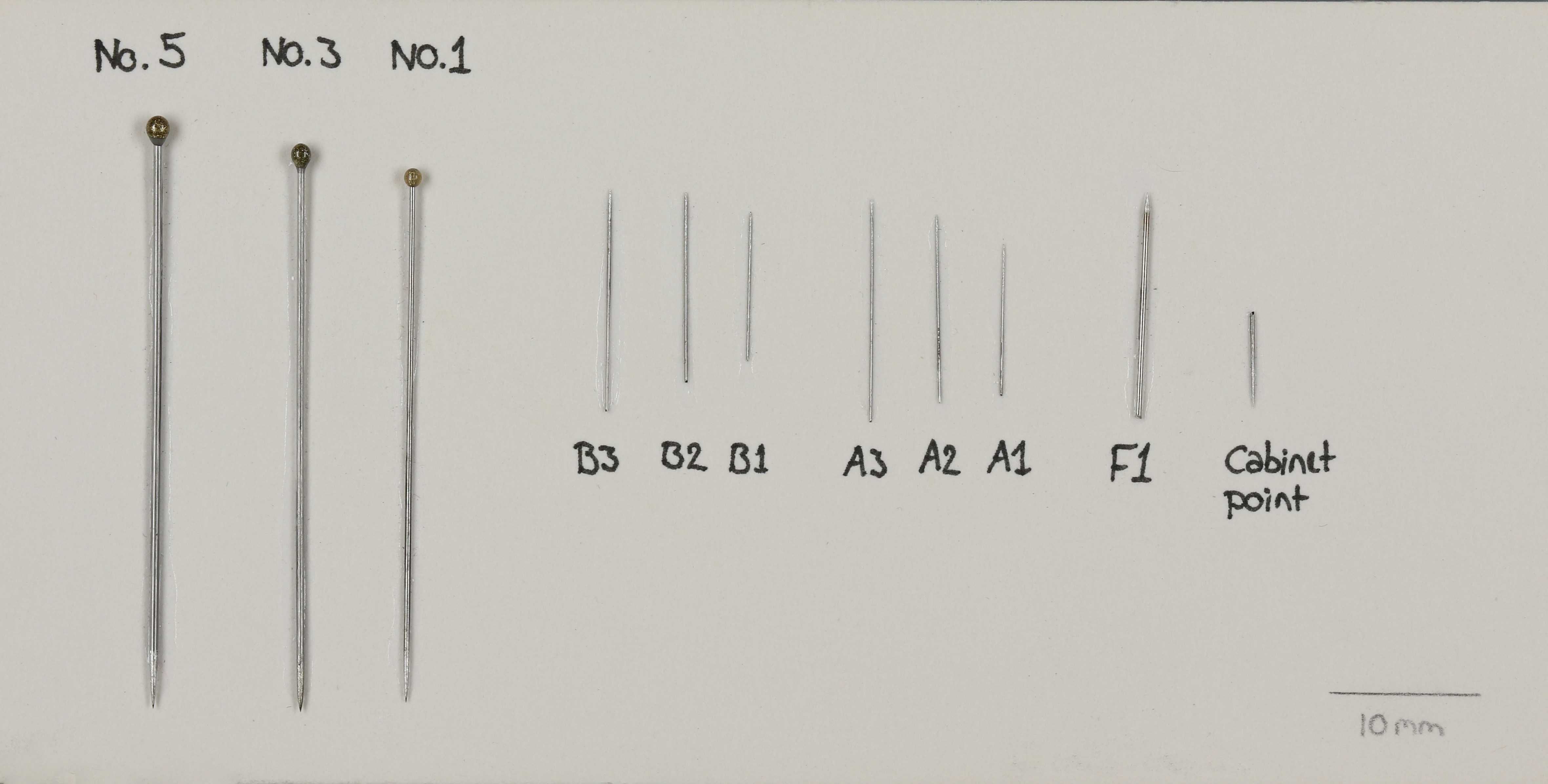 A series of different sized dry-preservation pins
