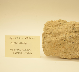 Limestone, arenaceous