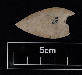 Leaf-shaped arrowhead