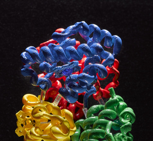 Molecular model