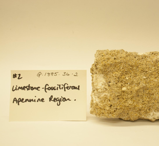 Limestone, fossiliferous