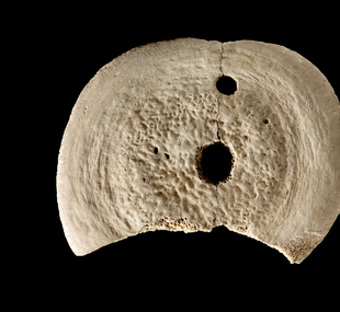 Inscribed disc