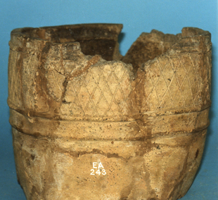 Pottery / cinerary urn / portion