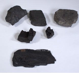 Coal / sample