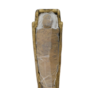 Mummified person