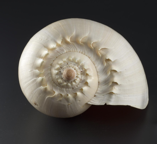 Baler shell
