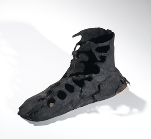 Shoe / calceus