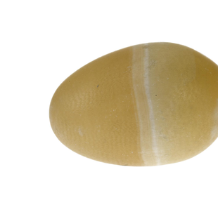 Model / egg, duck's / egg, goose's