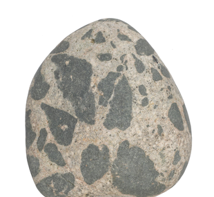 Granite, xenolith