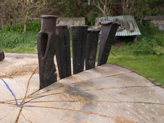Wedges were used to begin splitting an oak trunk into sections.