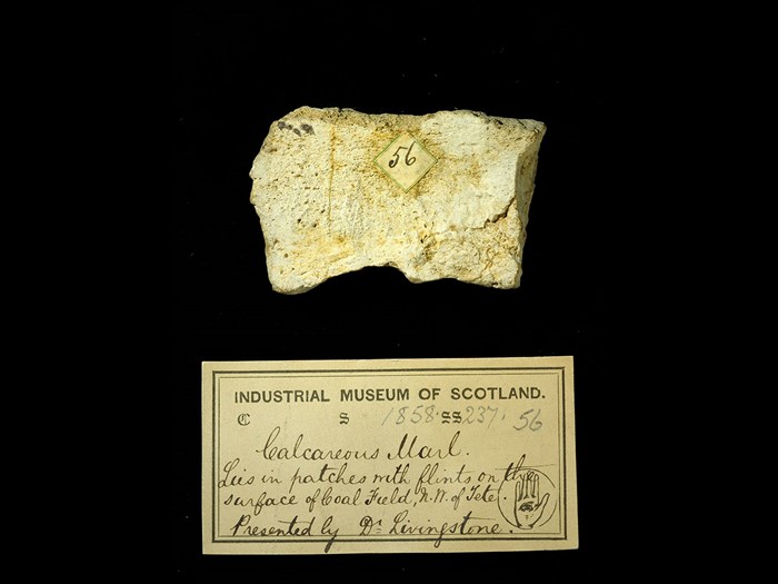 Specimen of calcareous marl with 19th century museum label: ‘Calcareous marl. Lies in patches with flints on the surface of coal field, NW of Tete. Presented by Dr Livingstone.’