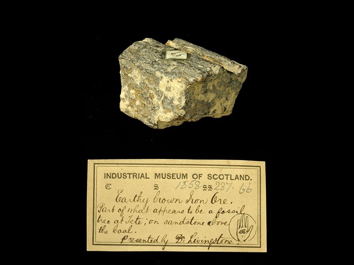 Specimen of iron ore with 19th century museum label: ‘Earthy brown iron ore. Part of what appears to be fossil tree at Tete: in sandstone above the coal. Presented by Dr Livingstone.’