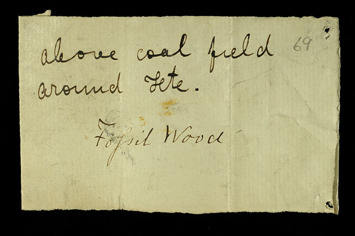 Livingstone’s note written in the field for the fossil wood: ‘Above coal field around Tete.’