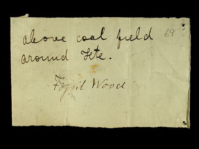 Livingstone’s note written in the field for the fossil wood: ‘Above coal field around Tete.’