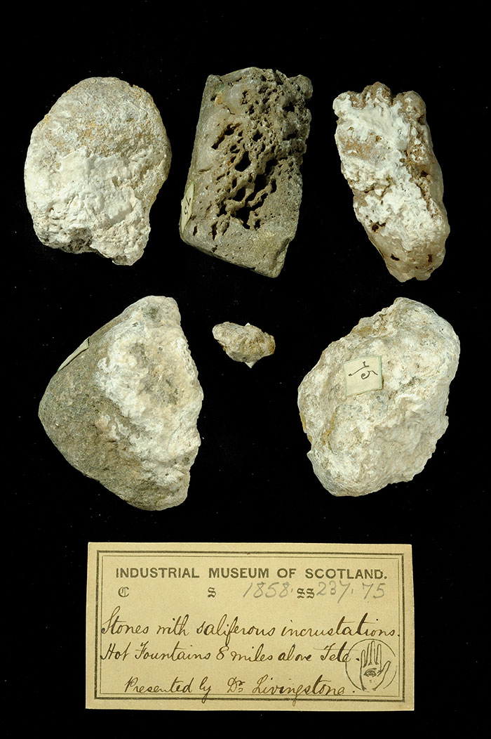 Specimens of rocks with incrustations with 19th century museum label: ‘Stones with saliferous incrustations. Hot fountains 8 miles above Tete. Presented by Dr Livingstone.’