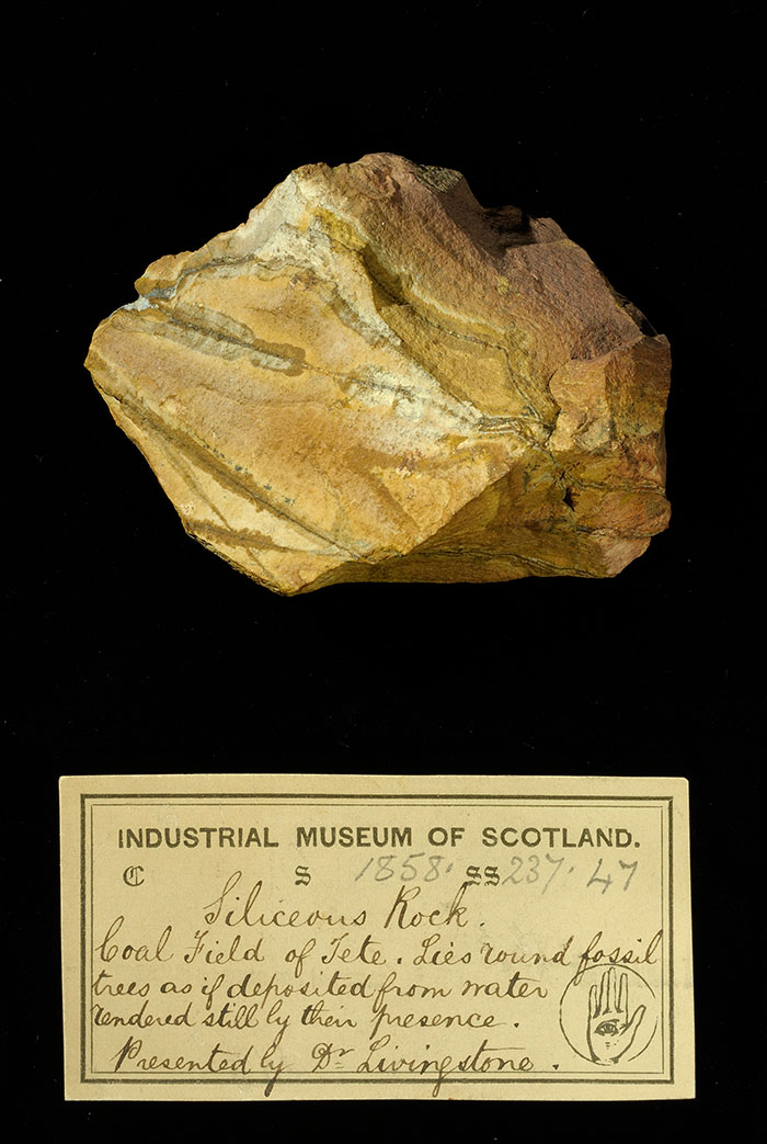 Specimen of siliceous rock with 19th century museum label: ‘Siliceous rock. Coal field of Tete. Lies round fossil trees as if deposited from water rendered still by their presence. Presented by Dr Livingstone.’