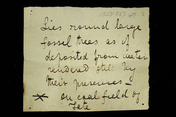 Livingstone’s note written in the field for the siliceous rock: ‘Lies round large fossil tress as if deposited from water rendered still by their presences on coal field of Tete.’ The asterisk indicates relation to the following specimen.
