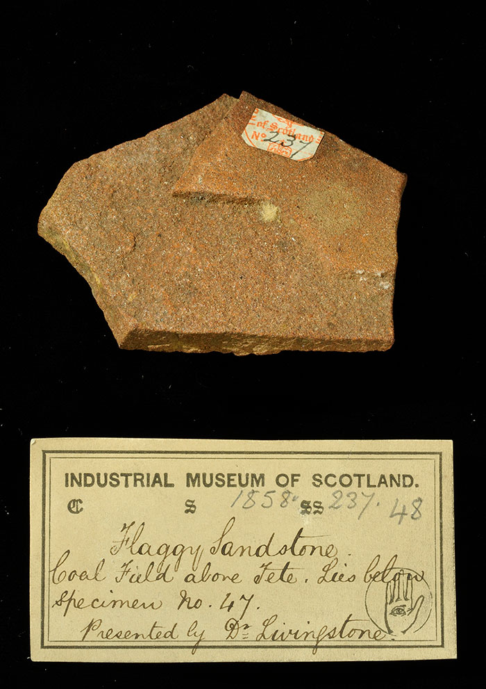 Specimen of flaggy sandstone with 19th century museum label: ‘Flaggy sandstone. Coal field along Tete. Lies below specimen no. 47. Presented by Dr Livingstone.’