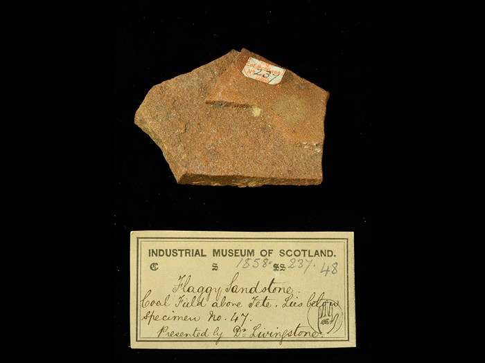 Specimen of flaggy sandstone with 19th century museum label: ‘Flaggy sandstone. Coal field along Tete. Lies below specimen no. 47. Presented by Dr Livingstone.’