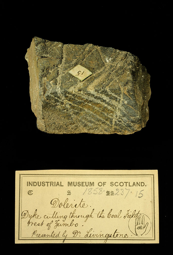 Specimen of dolerite with 19th century museum label: ‘Dolerite. Dyke cutting through the coal field west of Zumbo. Presented by Dr Livingstone.’