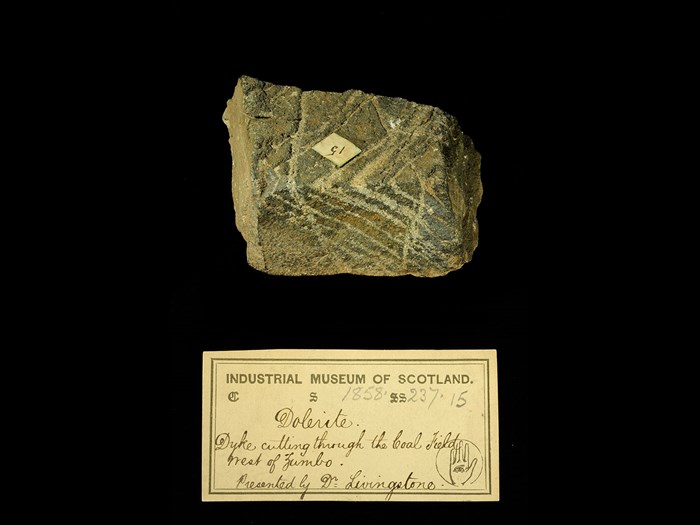 Specimen of dolerite with 19th century museum label: ‘Dolerite. Dyke cutting through the coal field west of Zumbo. Presented by Dr Livingstone.’