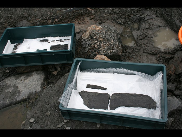 Selected fossils are carefully packed away and removed for further study.
