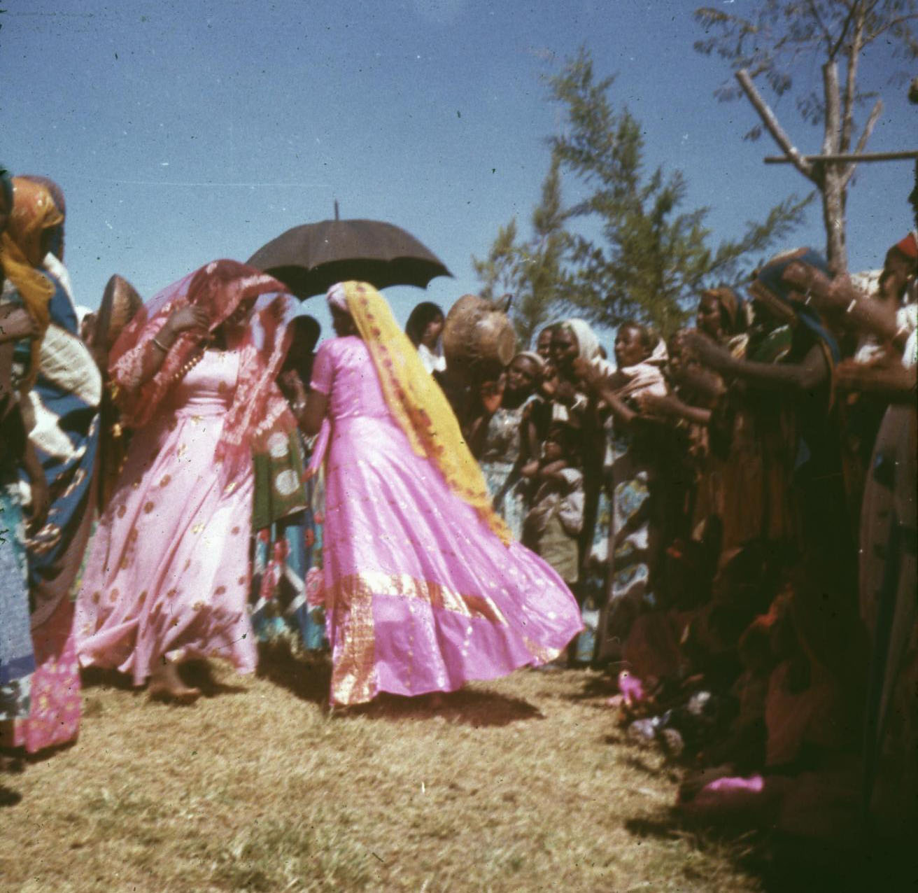 Slide of women dancing as others clap, an umbrella is held above the dancers and they are wearing brightly coloured clothes: Jijiga, Ethiopia, 1960s, photographed by Jean Jenkins.