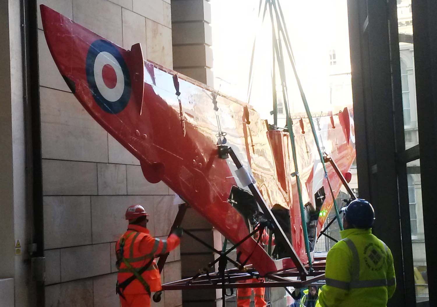 Hawk wings entering the National Museum of Scotland