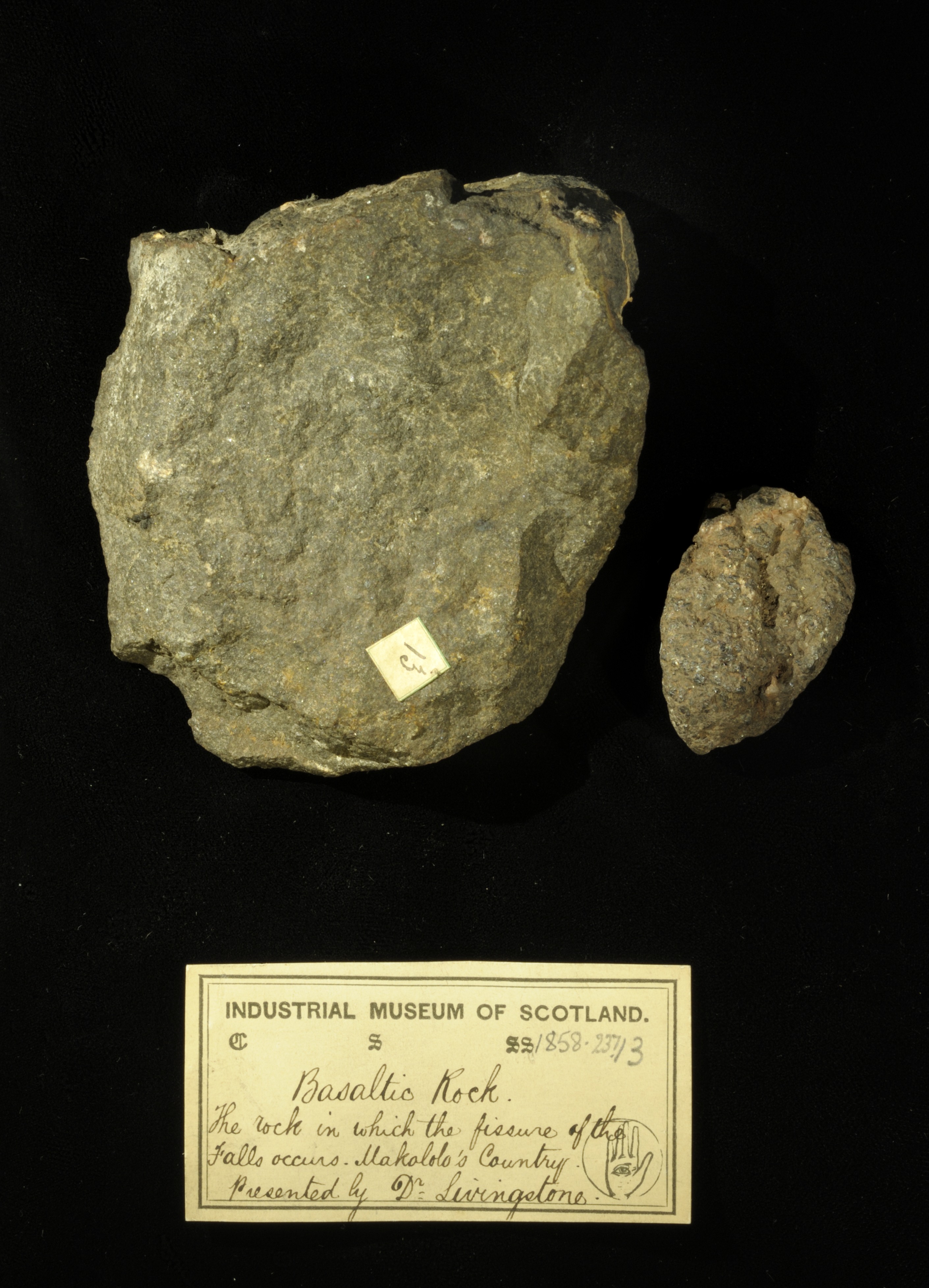 Specimens of basalt rock with 19th century museum label: ‘Basaltic rock. The rock in which the fissure of the falls occurs. Makolo’s country. Presented by Dr Livingstone.’