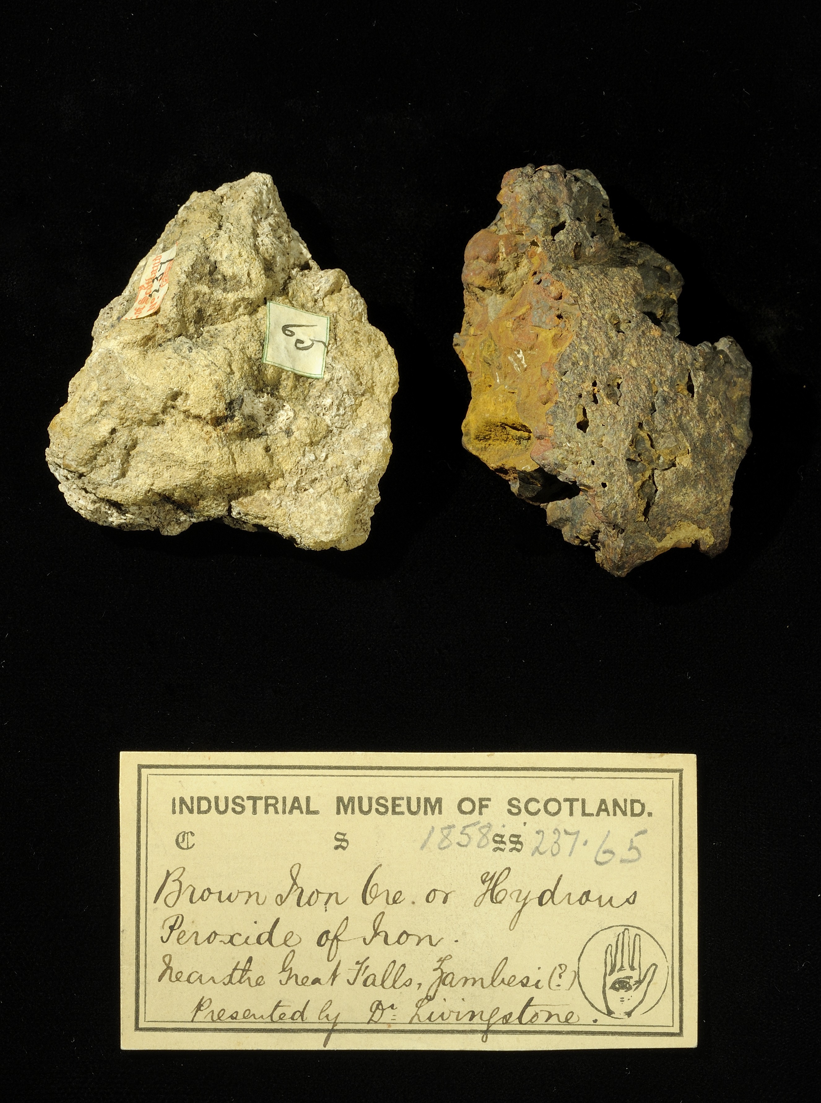 Specimens of iron ore with 19th century museum label: ‘Brown iron ore or hydrous peroxide of iron. Near the Great Falls, Zambesi (?) Presented by Dr Livingstone.’