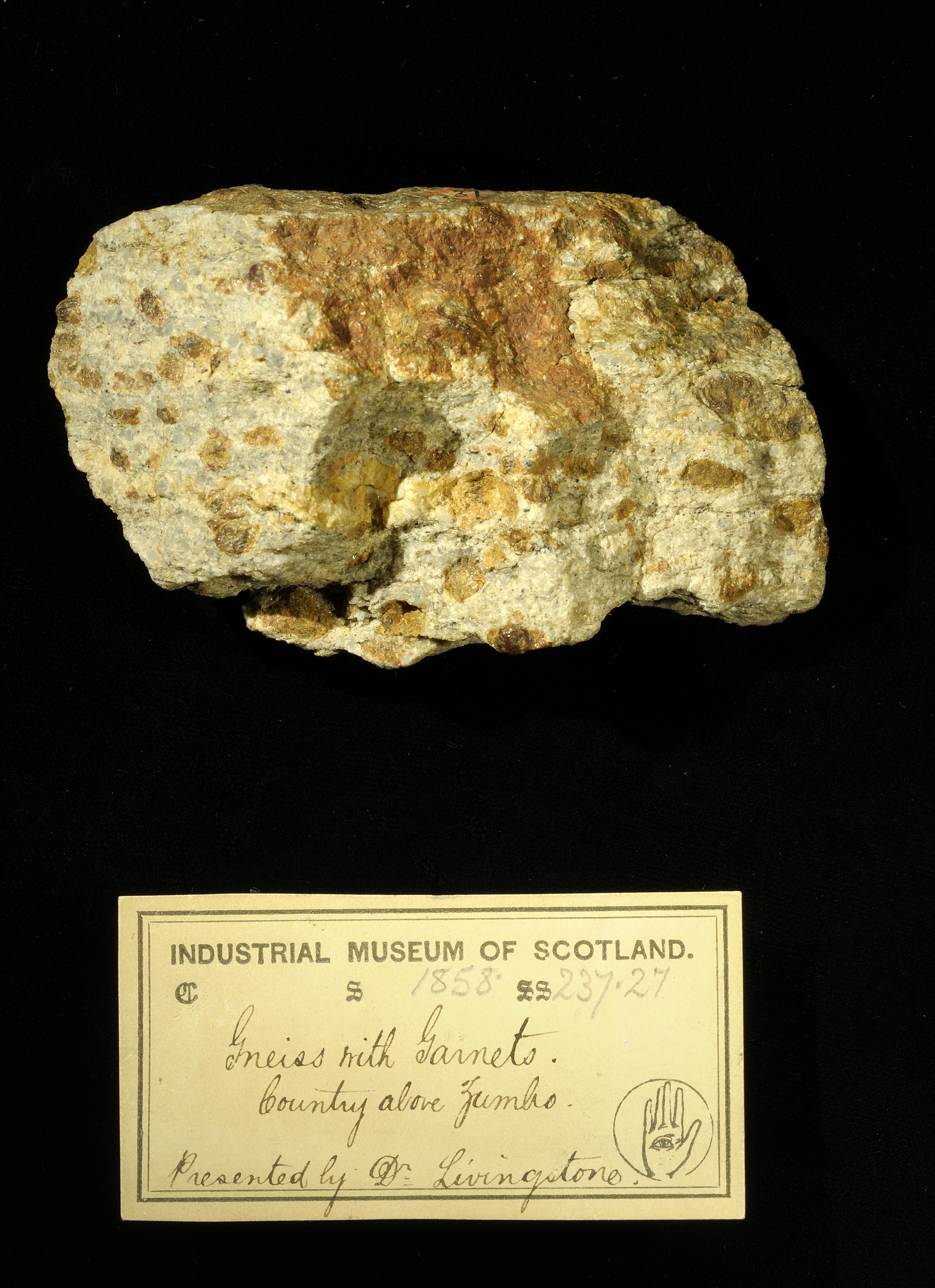 Specimen of gneiss with 19th century museum label: ‘Gneiss with garnets. Country above Zumbo. Presented by Dr Livingstone.’