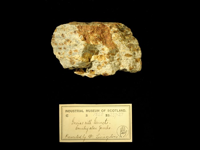 Specimen of gneiss with 19th century museum label: ‘Gneiss with garnets. Country above Zumbo. Presented by Dr Livingstone.’