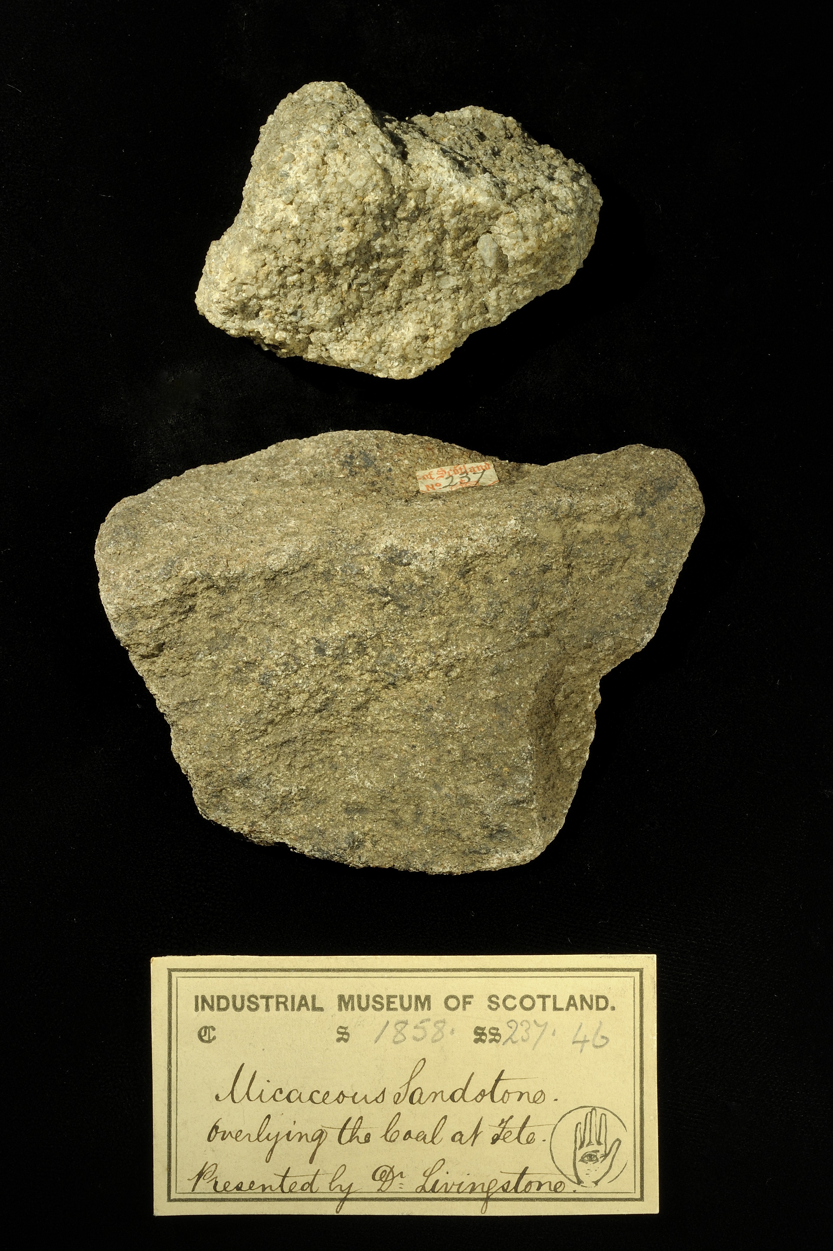 Specimen of micaceous sandstone with 19th century museum label: ‘Micaceous sandstone. Overlying the coal at Tete. Presented by Dr Livingstone.’