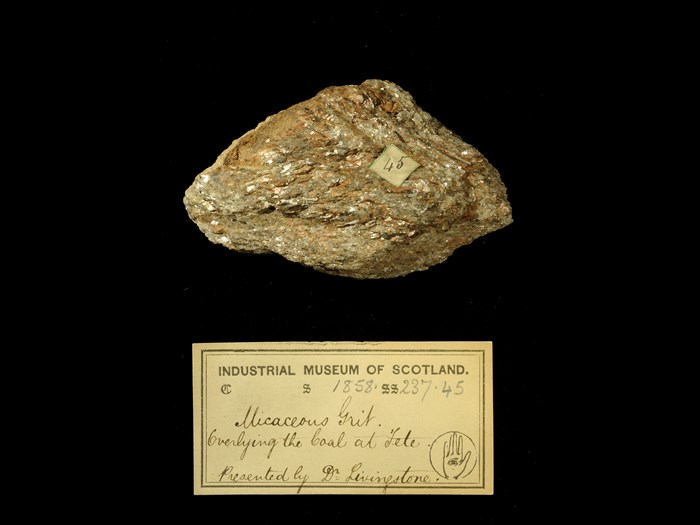 Specimen of micaceous grit with 19th century museum label: ‘Micaceous grit. Overlying the coal at Tete. Presented by Dr Livingstone.’
