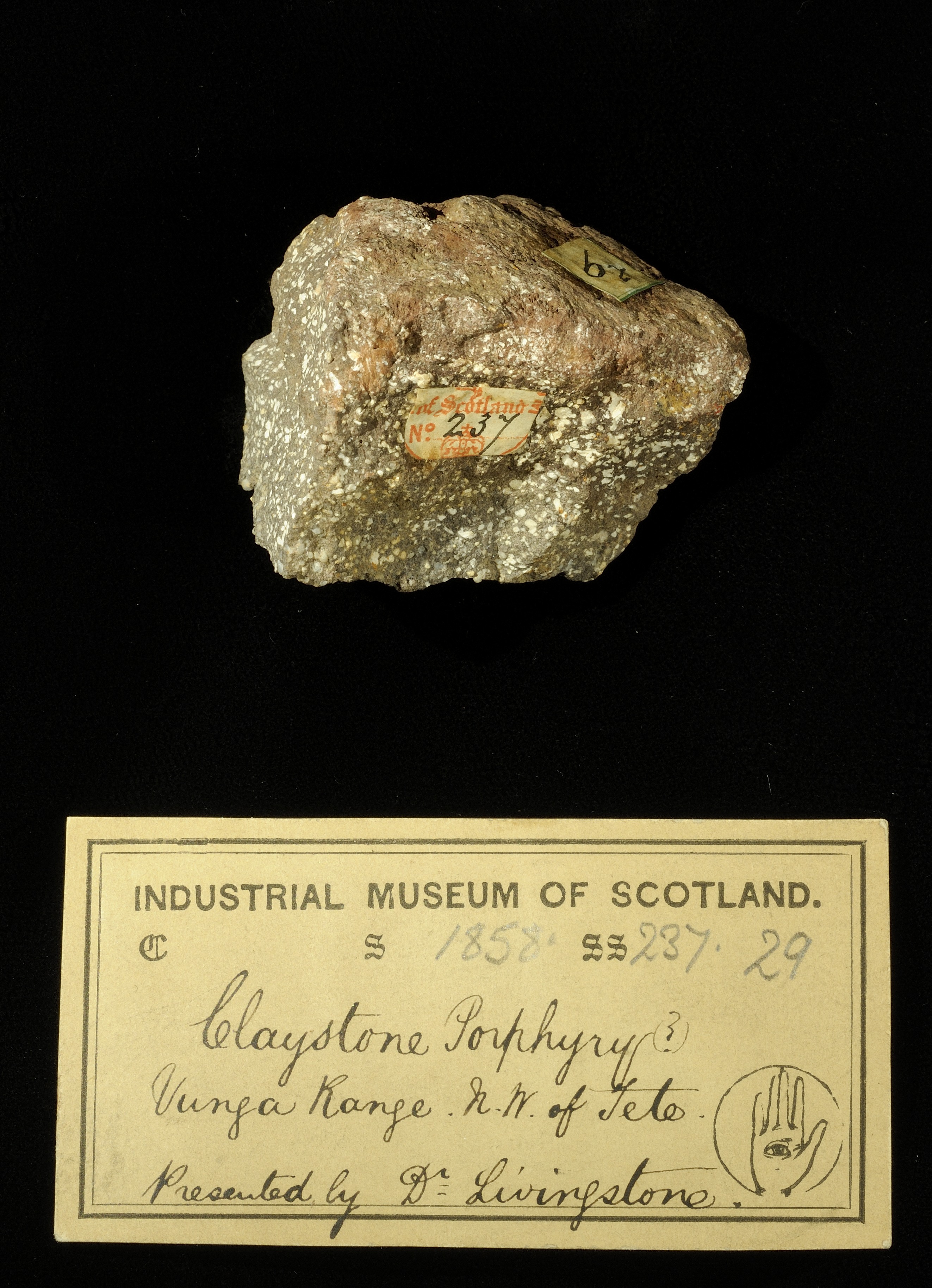 Specimen of clay-stone porphyry with 19th century museum label: ‘Claystone porphyry (?) Vunga Range. NW of Tete. Presented by Dr Livingstone.’