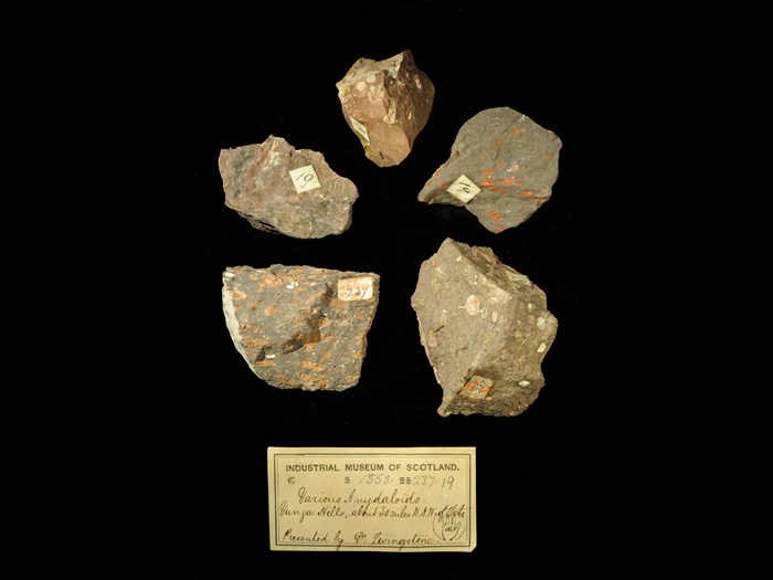 Specimens of amygdales with 19th century museum label: ‘Various amydaloids. Vunga hills, about 30 miles WNW of Tete. Presented by Dr Livingstone.’