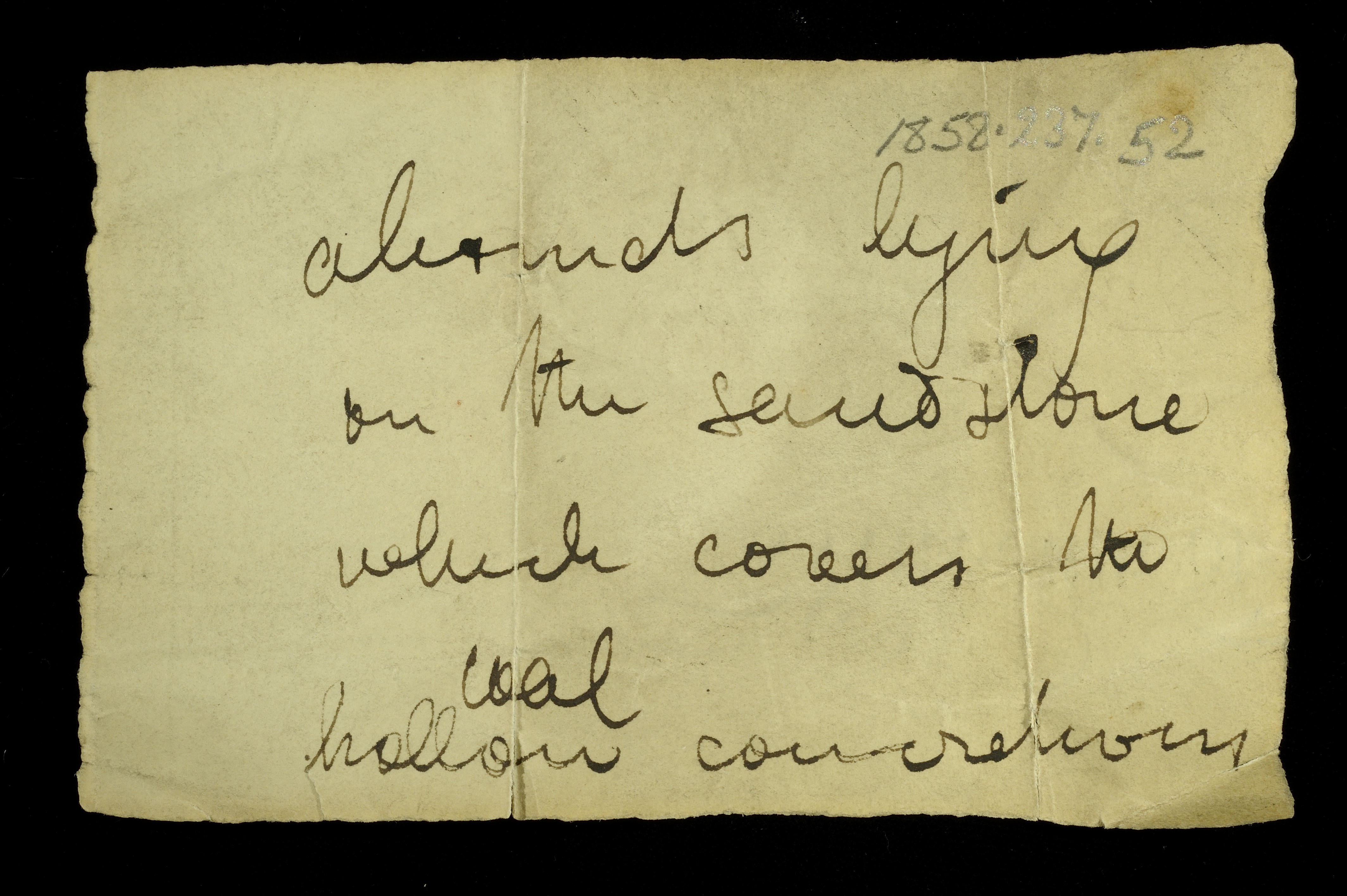 Livingstone’s note written in the field for the hollowed rock: ‘Abounds lying on the sandstone which covers the coal, hollow concretions.’
